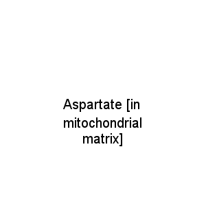 Aspartate [in mitochondrial matrix]